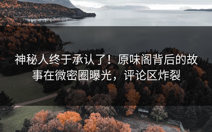 神秘人终于承认了！原味阁背后的故事在微密圈曝光，评论区炸裂