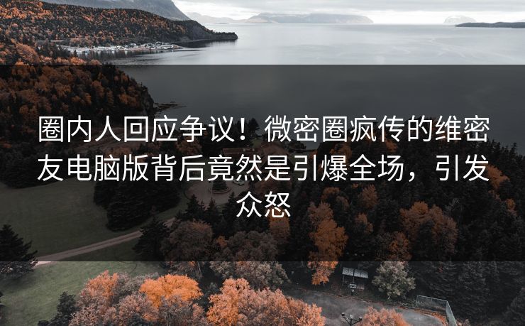 圈内人回应争议！微密圈疯传的维密友电脑版背后竟然是引爆全场，引发众怒