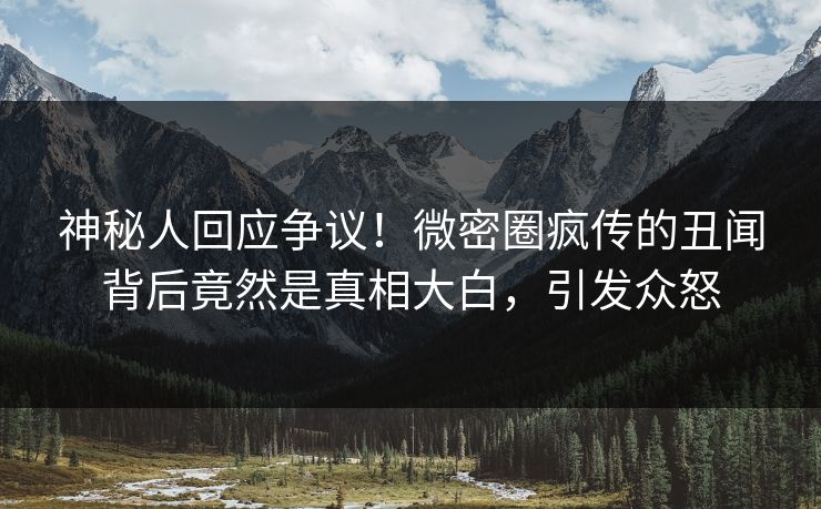 神秘人回应争议！微密圈疯传的丑闻背后竟然是真相大白，引发众怒
