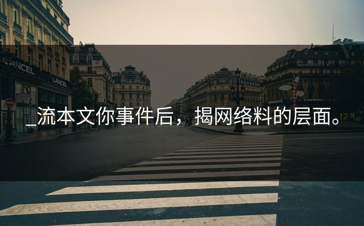 _流本文你事件后，揭网络料的层面。