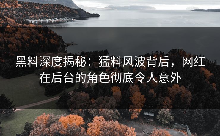 黑料深度揭秘：猛料风波背后，网红在后台的角色彻底令人意外